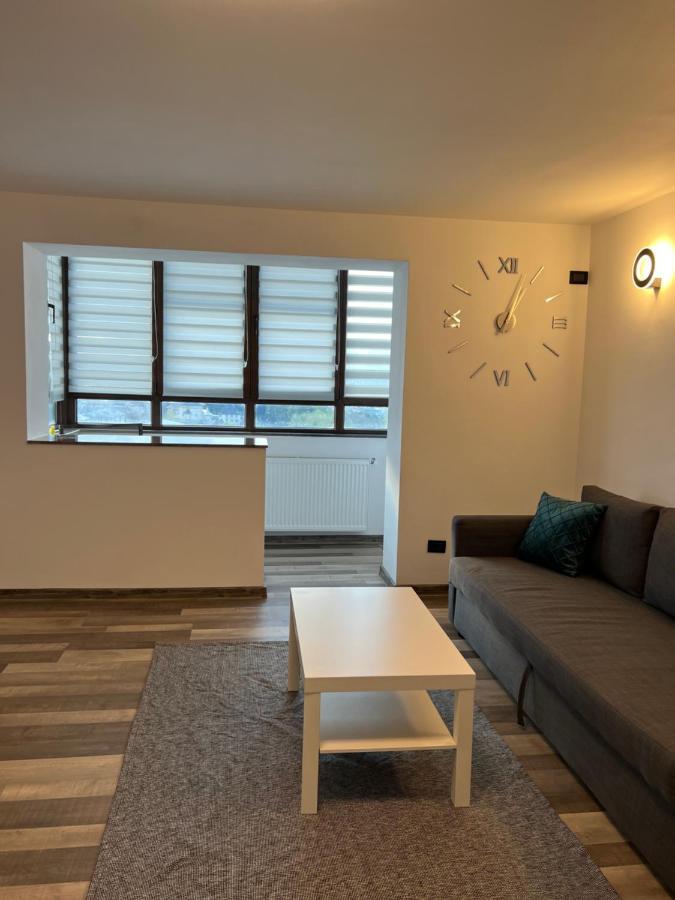 Sunny Luxury Home G. Enescu Suceava Esterno foto