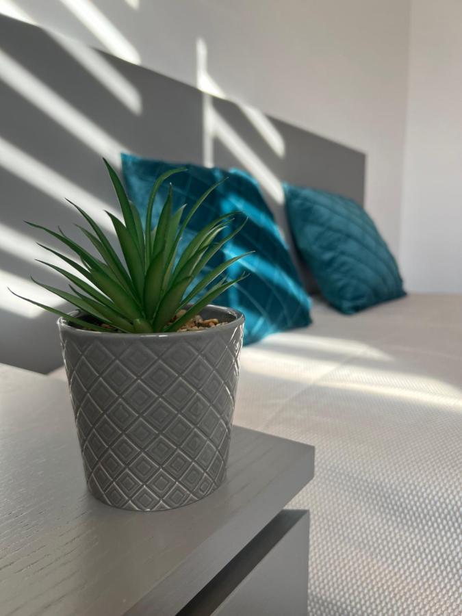 Sunny Luxury Home G. Enescu Suceava Esterno foto